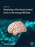 Book Atlas of the Morphology of the Human Cerebral Cortex on the Average MNI Brain free