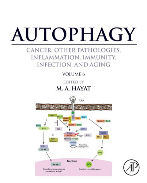 Book Autophagy: Cancer, Other Pathologies, Inflammation, Immunity, Infection, and Aging: Volume 6- Regulation of Autophagy and Selective Autophagy free