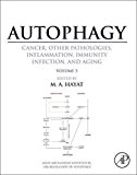 Book Autophagy: Cancer, Other Pathologies, Inflammation, Immunity, Infection, and Aging: Volume 5 - Role in Human Diseases free