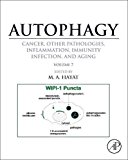 Book Autophagy: Cancer, Other Pathologies, Inflammation, Immunity, Infection, and Aging: Volume 7- Role of Autophagy in Therapeutic Applications free
