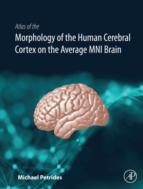 Book Atlas of the Morphology of the Human Cerebral Cortex on the Average MNI Brain free
