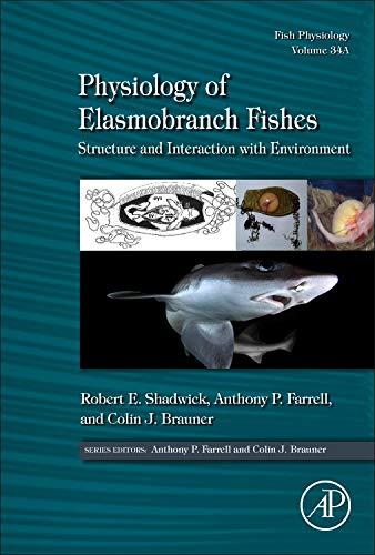 Book Physiology of Elasmobranch Fishes: Structure and Interaction with Environment (Volume 34A) (Fish Physiology, Volume 34A) free