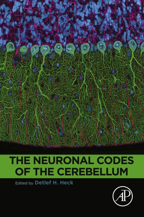 Book The Neuronal Codes of the Cerebellum free