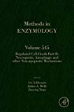 Book Regulated Cell Death Part B: Necroptotic, Autophagic and other Non-apoptotic Mechanisms (Volume 545) (Methods in Enzymology, Volume 545) free
