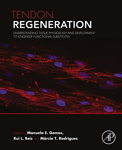 Book Tendon Regeneration: Understanding Tissue Physiology and Development to Engineer Functional Substitutes free