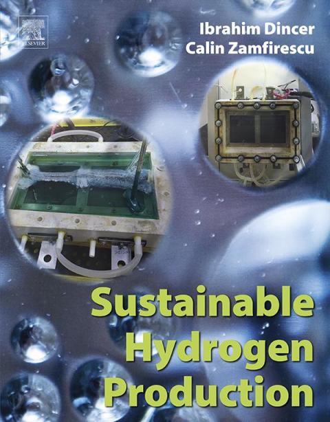 Book Sustainable Hydrogen Production free