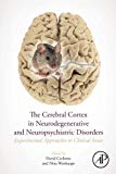 Book The Cerebral Cortex in Neurodegenerative and Neuropsychiatric Disorders: Experimental Approaches to Clinical Issues free