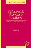 Book Self-Assembly Processes at Interfaces: Multiscale Phenomena (Volume 21) (Interface Science and Technology, Volume 21) free