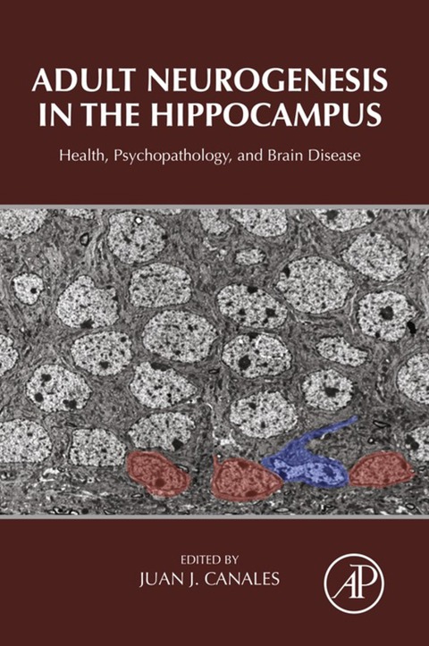 Book Adult Neurogenesis in the Hippocampus: Health, Psychopathology, and Brain Disease free