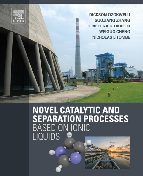 Book Novel Catalytic and Separation Processes Based on Ionic Liquids free
