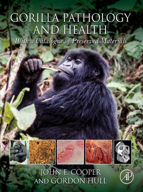 Book Gorilla Pathology and Health free