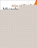 Book Atlas of Oral Microbiology: From Healthy Microflora to Disease free