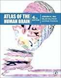 Book Atlas of the Human Brain free