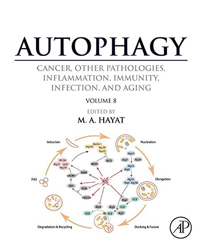 Book Autophagy: Cancer, Other Pathologies, Inflammation, Immunity, Infection, and Aging: Volume 8- Human Diseases free