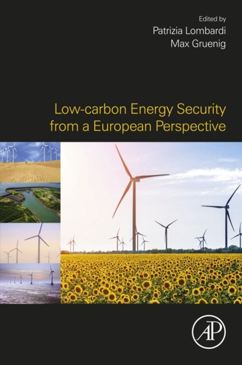 Book Low-carbon Energy Security from a European Perspective free