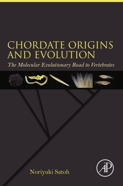 Book Chordate Origins and Evolution: The Molecular Evolutionary Road to Vertebrates free