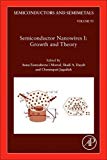 Book Semiconductor Nanowires I: Growth and Theory (Volume 93) (Semiconductors and Semimetals, Volume 93) free