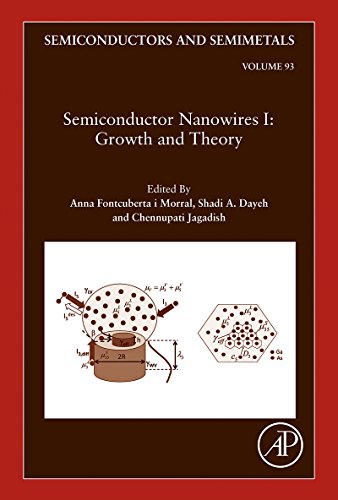 Book Semiconductor Nanowires I: Growth and Theory (ISSN Book 93) free