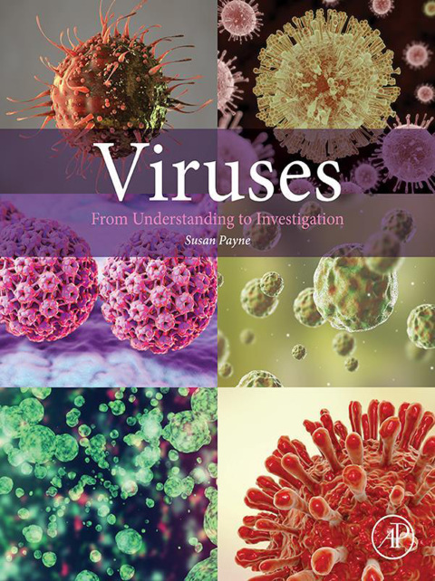 Book Viruses: From Understanding to Investigation free