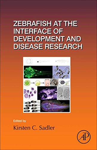 Book Zebrafish at the Interface of Development and Disease Research (Volume 124) (Current Topics in Developmental Biology, Volume 124) free