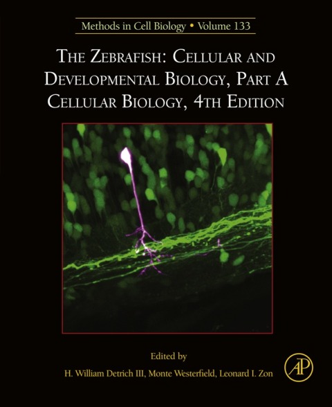 Book The Zebrafish: Cellular and Developmental Biology, Part A Cellular Biology (ISSN Book 133) free