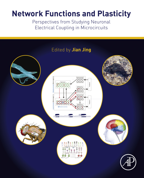 Book Network Functions and Plasticity free