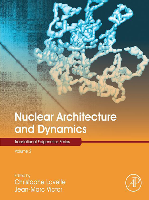 Book Nuclear Architecture and Dynamics (Translational Epigenetics Book 2) free