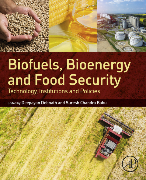 Book Biofuels, Bioenergy and Food Security: Technology, Institutions and Policies free