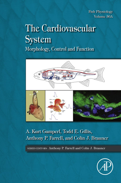 Book The Cardiovascular System free