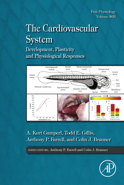 Book The Cardiovascular System free