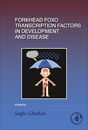 Book Forkhead FOXO Transcription Factors in Development and Disease (Volume 127) (Current Topics in Developmental Biology, Volume 127) free