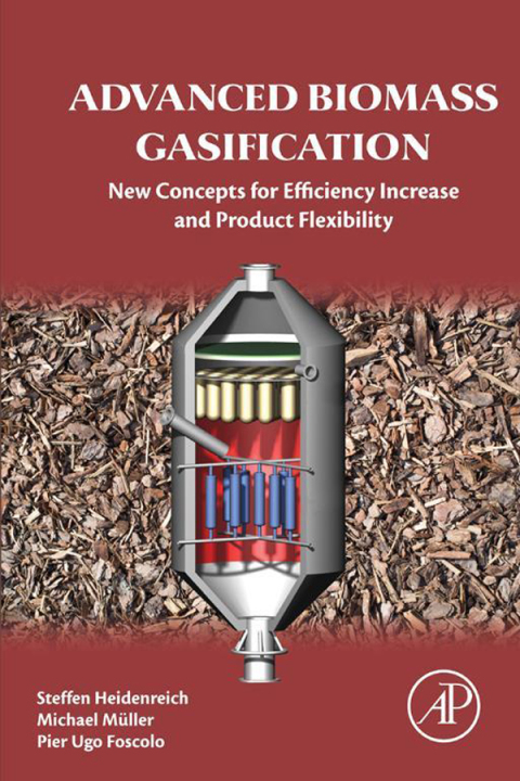 Book Advanced Biomass Gasification: New Concepts for Efficiency Increase and Product Flexibility free
