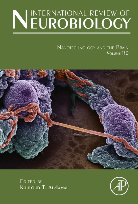 Book Nanotechnology and the Brain free