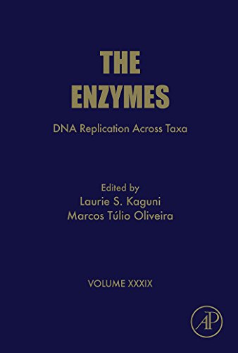 Book DNA Replication Across Taxa (ISSN Book 39) free