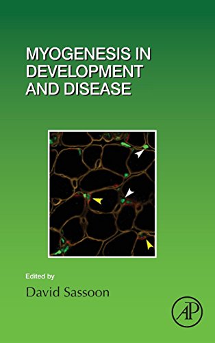 Book Myogenesis in Development and Disease (Volume 126) (Current Topics in Developmental Biology, Volume 126) free