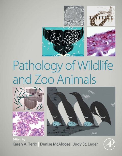 Book Pathology of Wildlife and Zoo Animals free