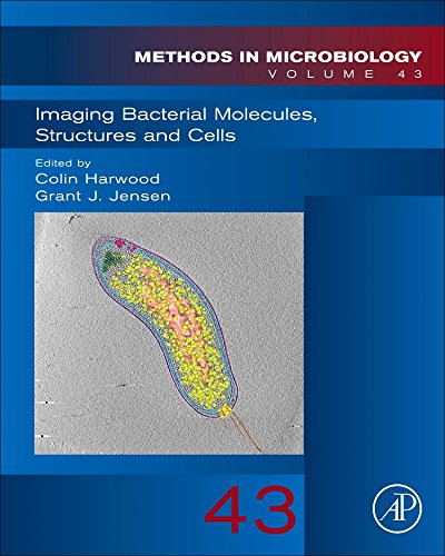 Book Imaging Bacterial Molecules, Structures and Cells (Volume 43) (Methods in Microbiology, Volume 43) free