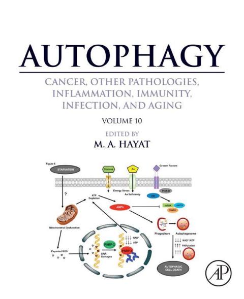 Book Autophagy: Cancer, Other Pathologies, Inflammation, Immunity, Infection, and Aging free