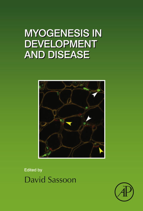 Book Myogenesis in Development and Disease free