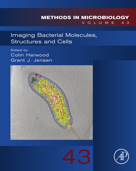Book Imaging Bacterial Molecules, Structures and Cells free