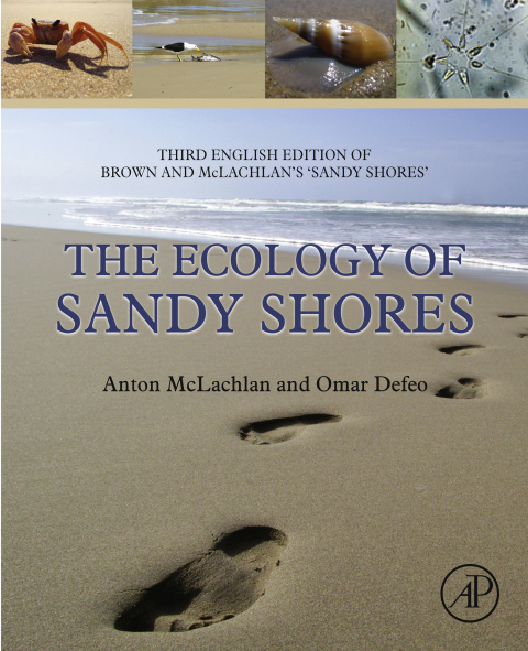 Book The Ecology of Sandy Shores free