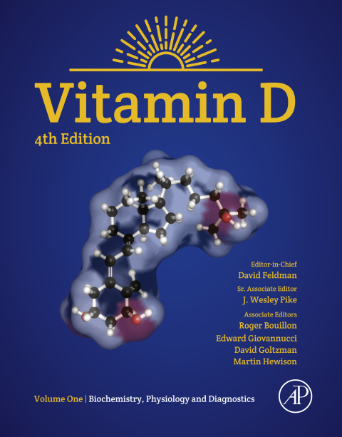 Book Vitamin D: Volume 1: Biochemistry, Physiology and Diagnostics free