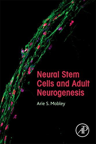 Book Neural Stem Cells and Adult Neurogenesis free