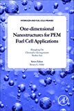Book One-dimensional Nanostructures For Pem Fuel Cell Application free
