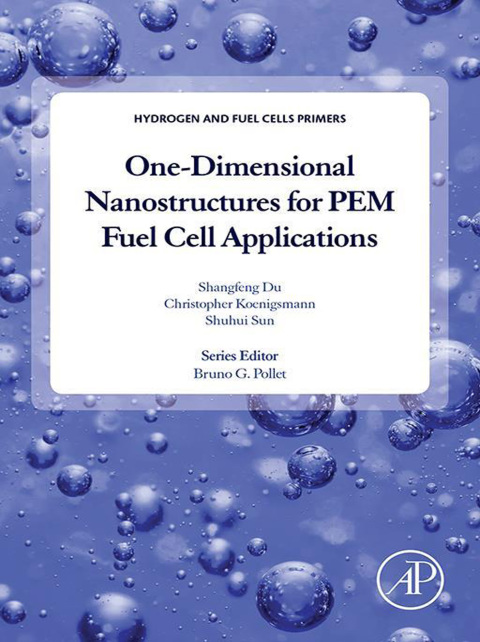 Book One-dimensional Nanostructures for PEM Fuel Cell Applications free