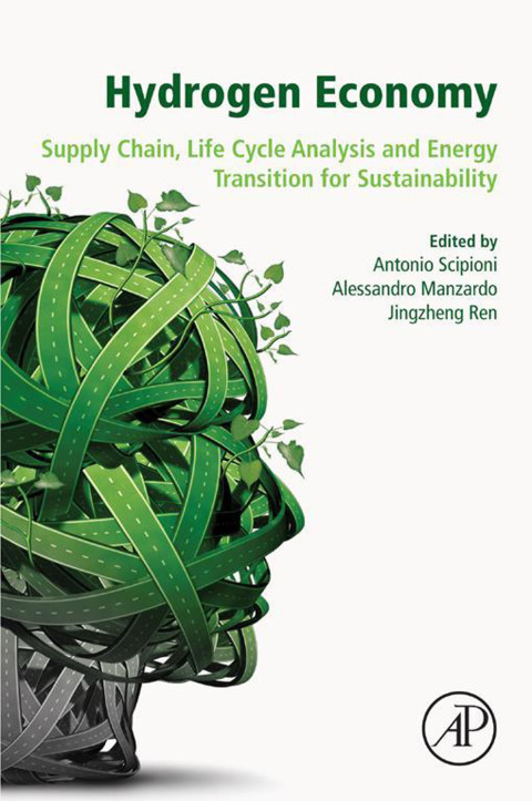 Book Hydrogen Economy: Supply Chain, Life Cycle Analysis and Energy Transition for Sustainability free