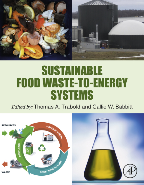 Book Sustainable Food Waste-to-Energy Systems free