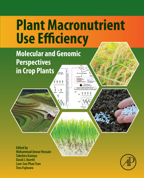 Book Plant Macronutrient Use Efficiency: Molecular and Genomic Perspectives in Crop Plants free