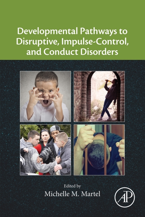Book Developmental Pathways to Disruptive, Impulse-Control, and Conduct Disorders free