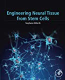 Book Engineering Neural Tissue from Stem Cells free